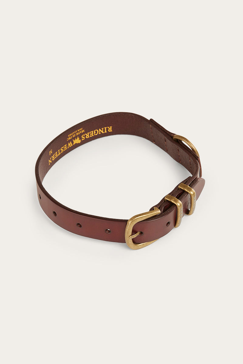 Walker Dog Collar - Tawny Brown/Gold